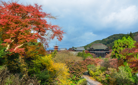 View of Kiyomizu-dera Temple with autumn forest in Kyoto, Japan.のeditorial素材