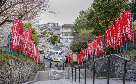 Nara, Japan - Apr 3, 2014. Stone stairs at cherry blossom in Nara, Japan. Nara is Japan first permanent capital, was established in the year 710 at Heijo.のeditorial素材