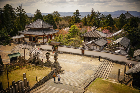 Nara, Japan - Apr 3, 2014. Aerial view of a Buddhist temple at cherry blossom in Nara, Japan. Nara is Japan first permanent capital, was established in the year 710 at Heijo.のeditorial素材