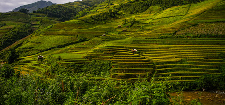 Small houses on terraced rice field in Ha Giang, Northern Vietnam.の写真素材