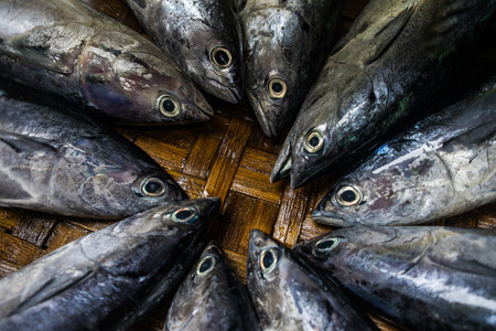 Fish on the bamboo basket at local market in Quy Nhon, Vietnam.の写真素材