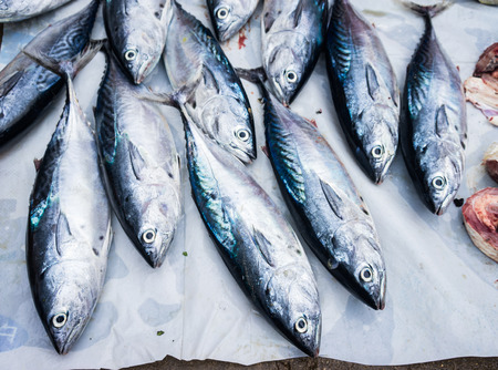 Fish for sale at rural market in Quy Nhon, Vietnam.の写真素材