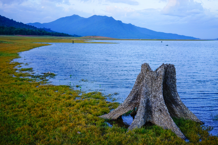 A dead tree with the lake at sunrise in Central Highlands, Vietnam.の写真素材