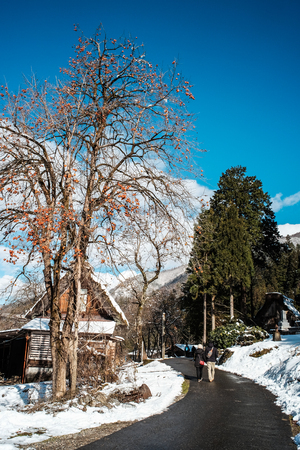 A couple walking at Historic Village of Shirakawago in Gifu, Japan. Shirakawago has over 100 unique gossho-zukuri houses which are over 250 years old.の写真素材