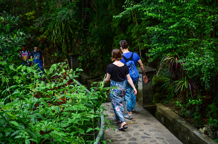 Bali, Indonesia - Apr 21, 2016. People walking on trail at green forest in Bali, Indonesia.のeditorial素材