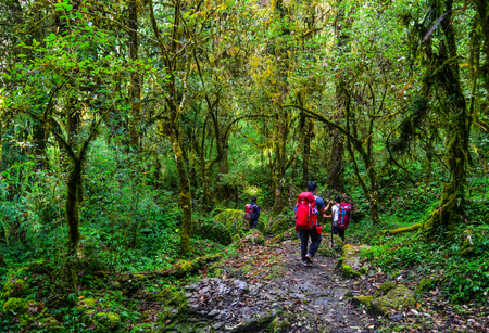 Shikha, Nepal - Oct 22, 2017. Young trekkers walking on Annapurna trekking trail in Shikha, Nepal.のeditorial素材