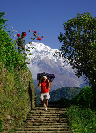 Ghandruk, Nepal - Oct 21, 2017. A porter carrying large luggages on Annapurna Mountains in Ghandruk, Nepal.のeditorial素材