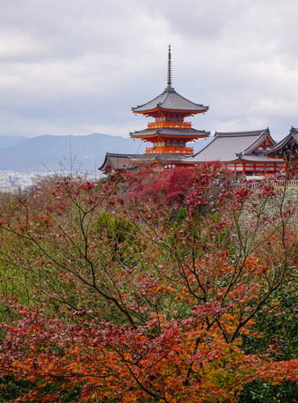 Part of Kiyomizu Temple with autumn trees in Kyoto, Japan.のeditorial素材