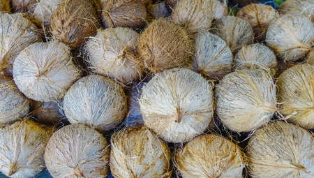 Selling coconut fruits at rural market in Mahebourg, Mauritius.