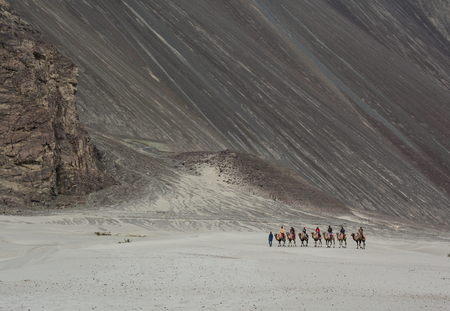 Ladakh, India - Jul 18, 2015. Tourists riding camels in Ladakh, India. Ladakh is the highest plateau...