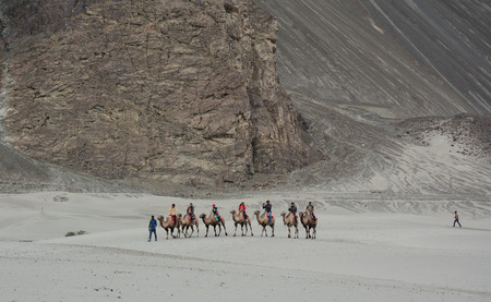 Ladakh, India - Jul 18, 2015. Tourists riding camels in Ladakh, India. Ladakh is the highest plateau in state of Jammu & Kashmir with much of it being over 3000m.のeditorial素材