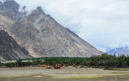 Mountain scenery in Nubra Valley, Ladakh, Northern India.の写真素材