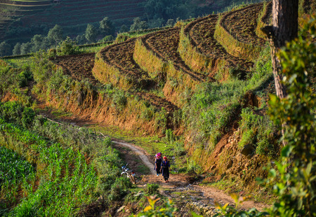 Sapa, Vietnam - May 28, 2016. Hmong women walking on rice field in Sapa, Vietnam. Sapa is a frontier township and capital of Sa Pa District in Lao Cai Province.のeditorial素材