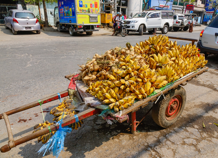 Yangon, Myanmar - Feb 22, 2016. Selling banana on street at downtown in Yangon, Myanmar.のeditorial素材