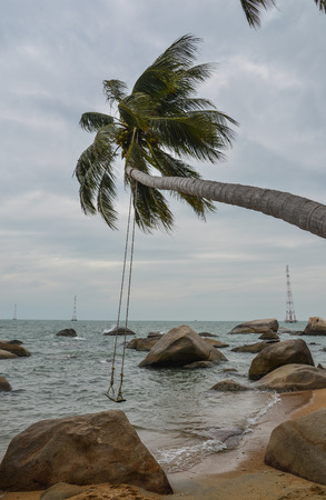 Rock beach with coconut tree on Nam Du Island, Vietnam.の写真素材