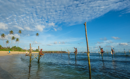 Hikkaduwa, Sri Lanka - Sep 9, 2015. Local fishermen fishing in unique style on the beach at sunny day in Hikkaduwa, Sri Lanka.のeditorial素材