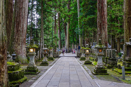 Wakayama, Japan - Nov 24, 2016. Pine forest at Okunoin Cemetery on Mt. Koya (Koyasan) in Wakayama, Japan.のeditorial素材