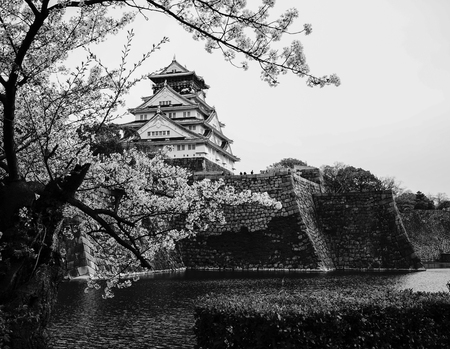 View of Osaka Castle (Osaka-jo) with cherry blossom. The castle is one of Japan's most famous landmarks.のeditorial素材