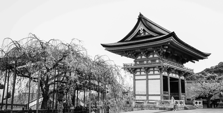 Kyoto, Japan - Apr 7, 2014. Ancient temple with cherry flowers at spring time in Kyoto, Japan.