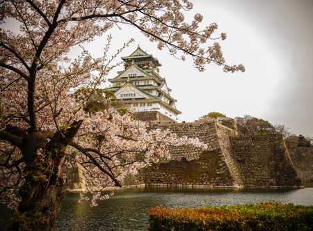 View of Osaka Castle (Osaka-jo) with cherry blossom. The castle is one of Japan's most famous landmarks.のeditorial素材