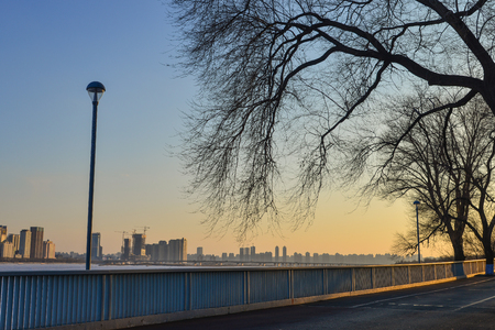 Trees at the riverbank winter park in sunny day.の写真素材