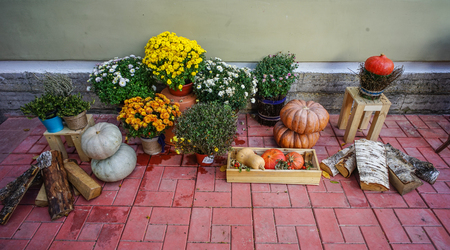 Pumpkin, fruits and wood for autumn season. Autumn background.の写真素材
