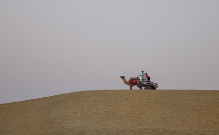 Jaisalmer, India - Nov 8, 2017. Riding camel on Thar Desert in Jaisalmer, India. Thar Desert is a large arid region in the northwestern part of the Indian.のeditorial素材