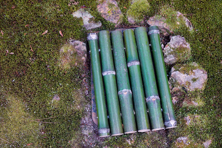 Bamboo for decorations at Japanese garden in summer time.の写真素材