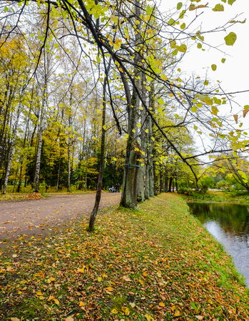 Autumn park with the lake in Saint Petersburg, Russia.のeditorial素材