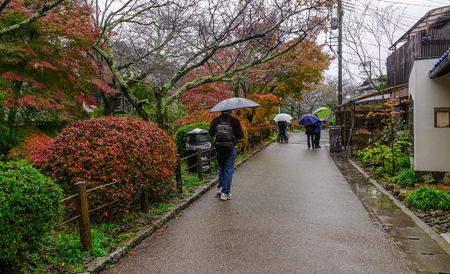 Kyoto, Japan - Nov 19, 2016. People with umbrellas walking on Philosopher Path at rainy day in Kyoto, Japan.のeditorial素材