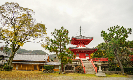 Ancient temple with autumn garden in Kyoto, Japan.のeditorial素材