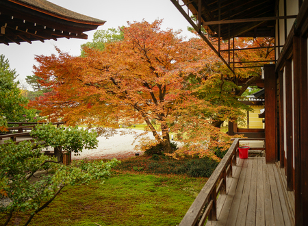 Kyoto, Japan - Nov 21, 2016. View of Shinto Shrine in Kyoto, Japan. Kyoto served as Japan capital and the emperor residence from 794 until 1868.のeditorial素材