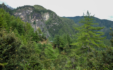 Mountain scenery with deep forest and Paro Taktsang Monastery (Tiger Nest) background in Paro, Bhutan.のeditorial素材