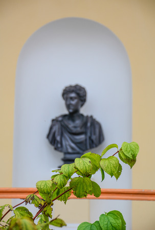 Green leaves with bronze statue background at ancient building in St. Petersburg, Russia.の写真素材