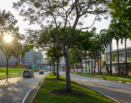 Singapore - Feb 9, 2018. Road with many trees at sunrise in Singapore. Singapore is a sovereign city-state and island country in Southeast Asia.のeditorial素材
