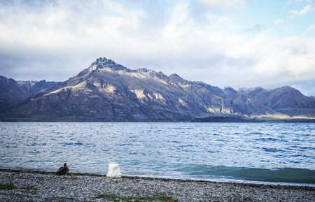 Lake scenery of Haast Junction in South Island, New Zealand.の写真素材