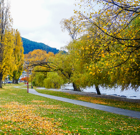 Autumn scenery of Haast Township, South Island, New Zealand.のeditorial素材