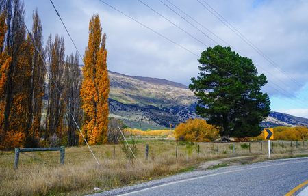 Autumn scenery of Haast Township, South Island, New Zealand.の写真素材