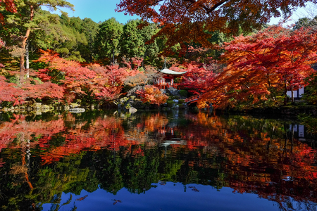 Autumn trees with the pond at ancient garden in Kyoto, Japan.