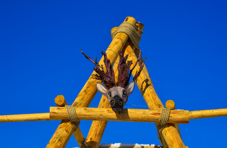 Brown deer head on wooden gate at a mountain village in Harbin, China.の写真素材