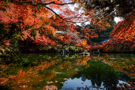Autumn trees with the pond at ancient garden in Kyoto, Japan.の写真素材