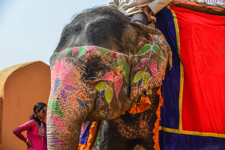 Jaipur, India - Nov 3, 2017. Riding decorated elephant up the hill to the main entrance of Amber Fort in Jaipur, India.のeditorial素材