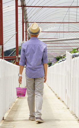 A man walking at greenhouse in Cameron Highlands, Malaysia.の写真素材