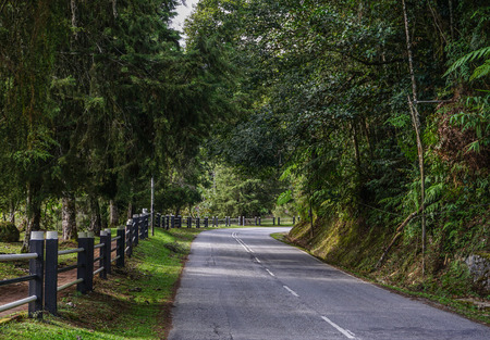 Mountain road on Cameron Highlands. Cameron is the most popular of the highland retreats in Malaysia.の写真素材