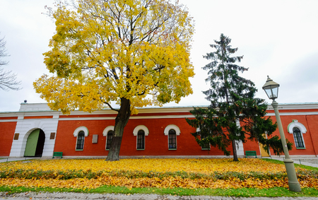 Ancient building with autumn park in St. Petersburg, Russia.のeditorial素材
