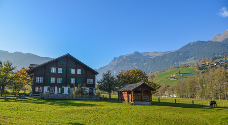 Mountain village in Grindelwald, Switzerland. Grindelwald was one of the first tourist resorts in Europe.のeditorial素材