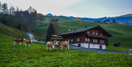 Rural scenery in Grindelwald, Switzerland. Grindelwald was one of the first tourist resorts in Europe.の写真素材