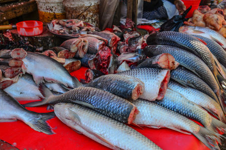 Fresh fish for sale at the local market in Taunggyi, Myanmar.の写真素材
