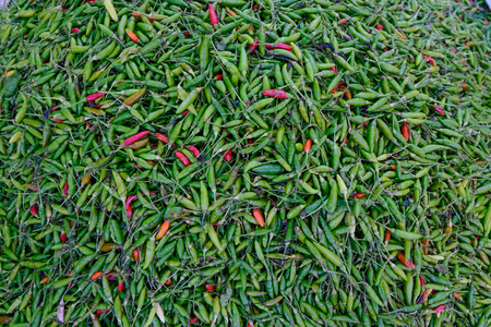 Fresh chilli for sale at the local market in Shan State, Myanmar.の写真素材