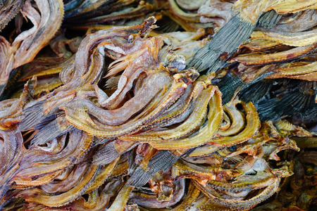 Traditional Asian fish market, stall full of dried seafood in Taunggyi, Shan state, Myanmar (Burma).の写真素材